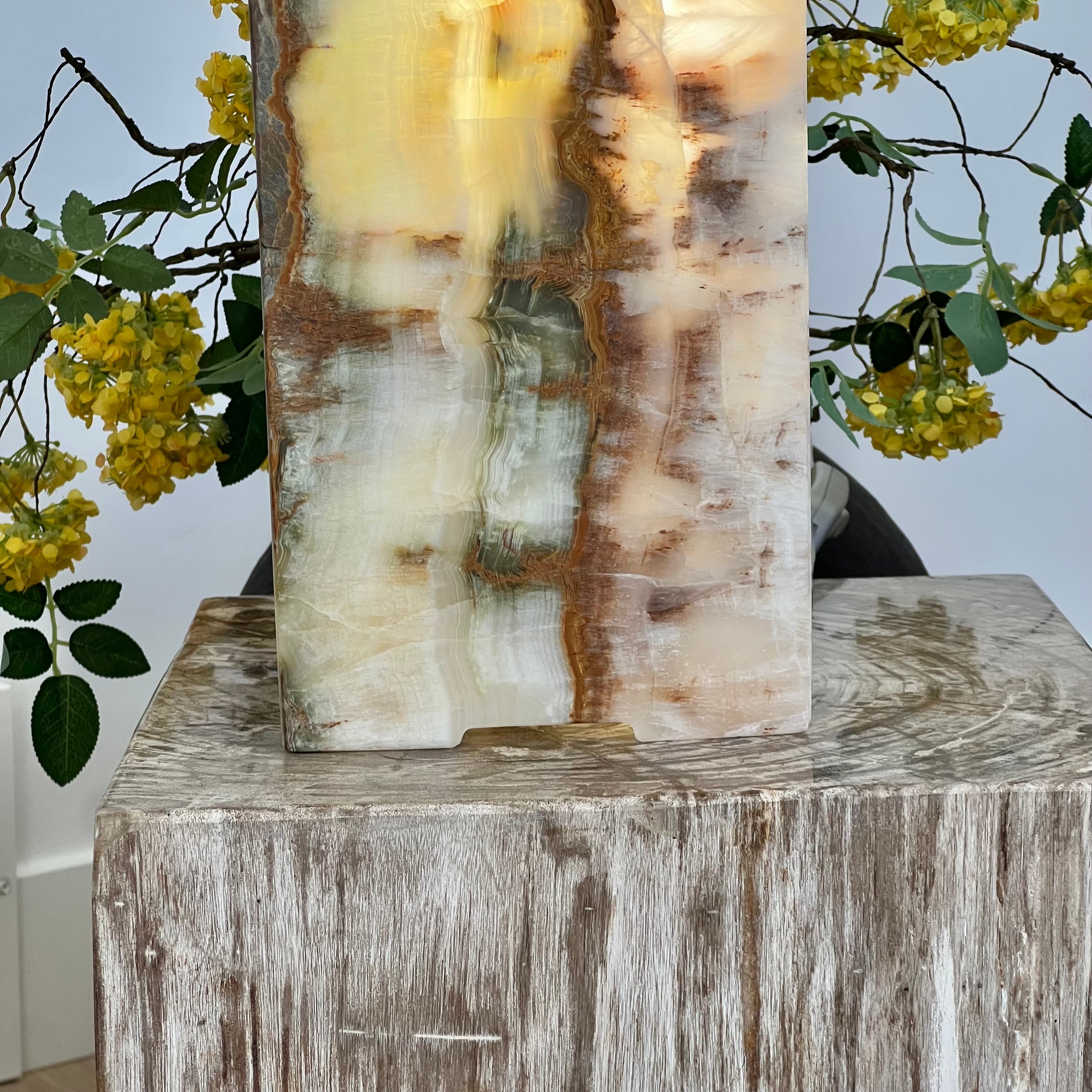 Hand-Carved Onyx Table Lamp – Earthy Elegance with a Natural Glow