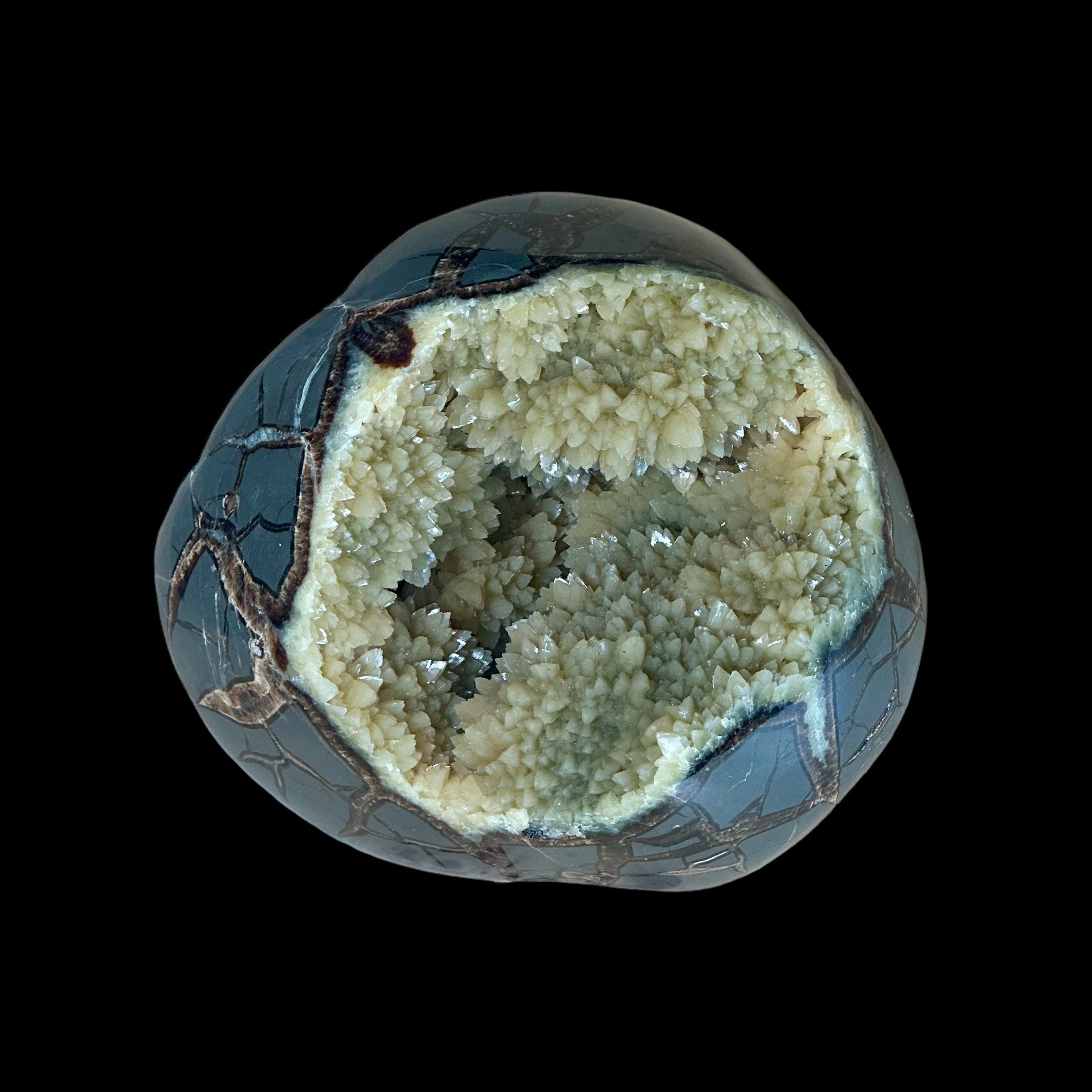 Septarian Nodule Geode