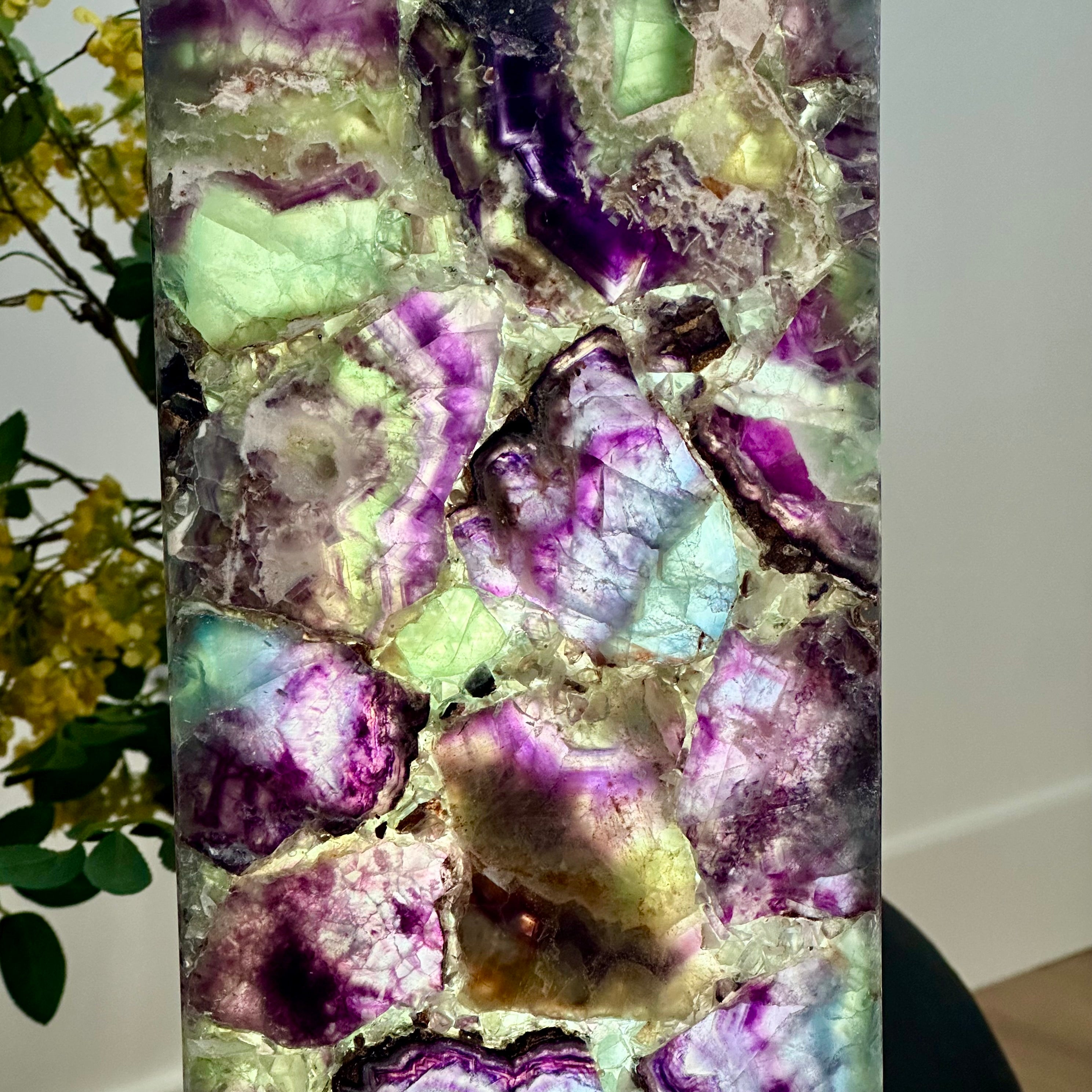 Colgate Fluorite Lamp