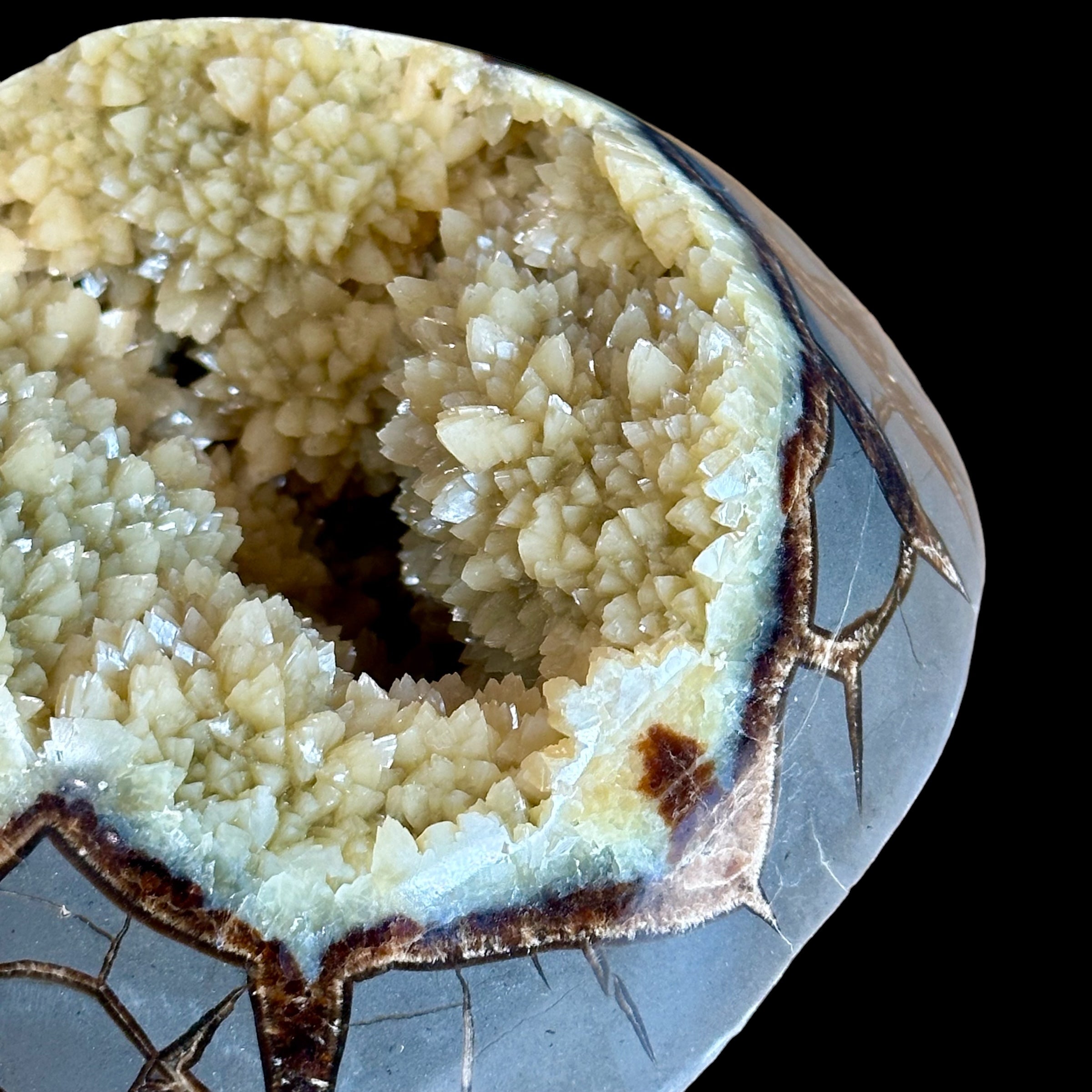 Septarian Nodule Geode