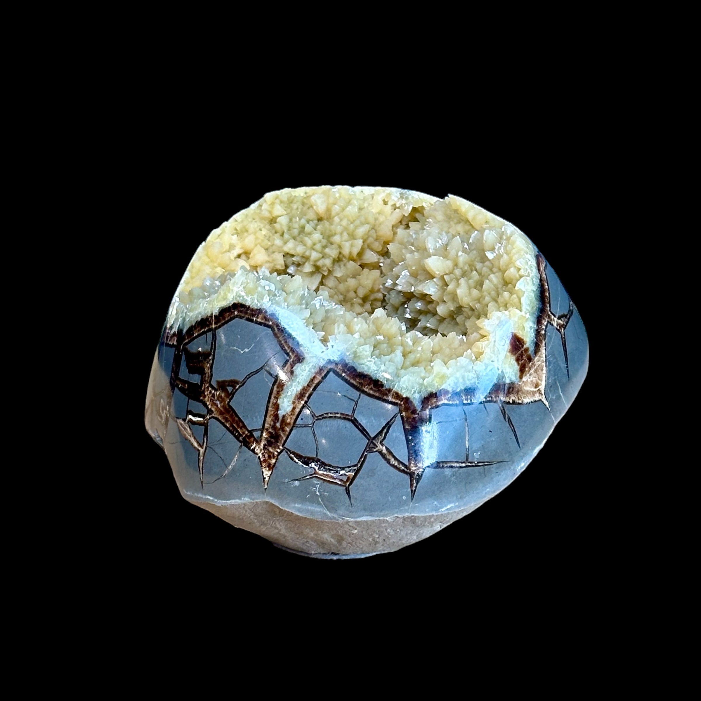 Septarian Nodule Geode