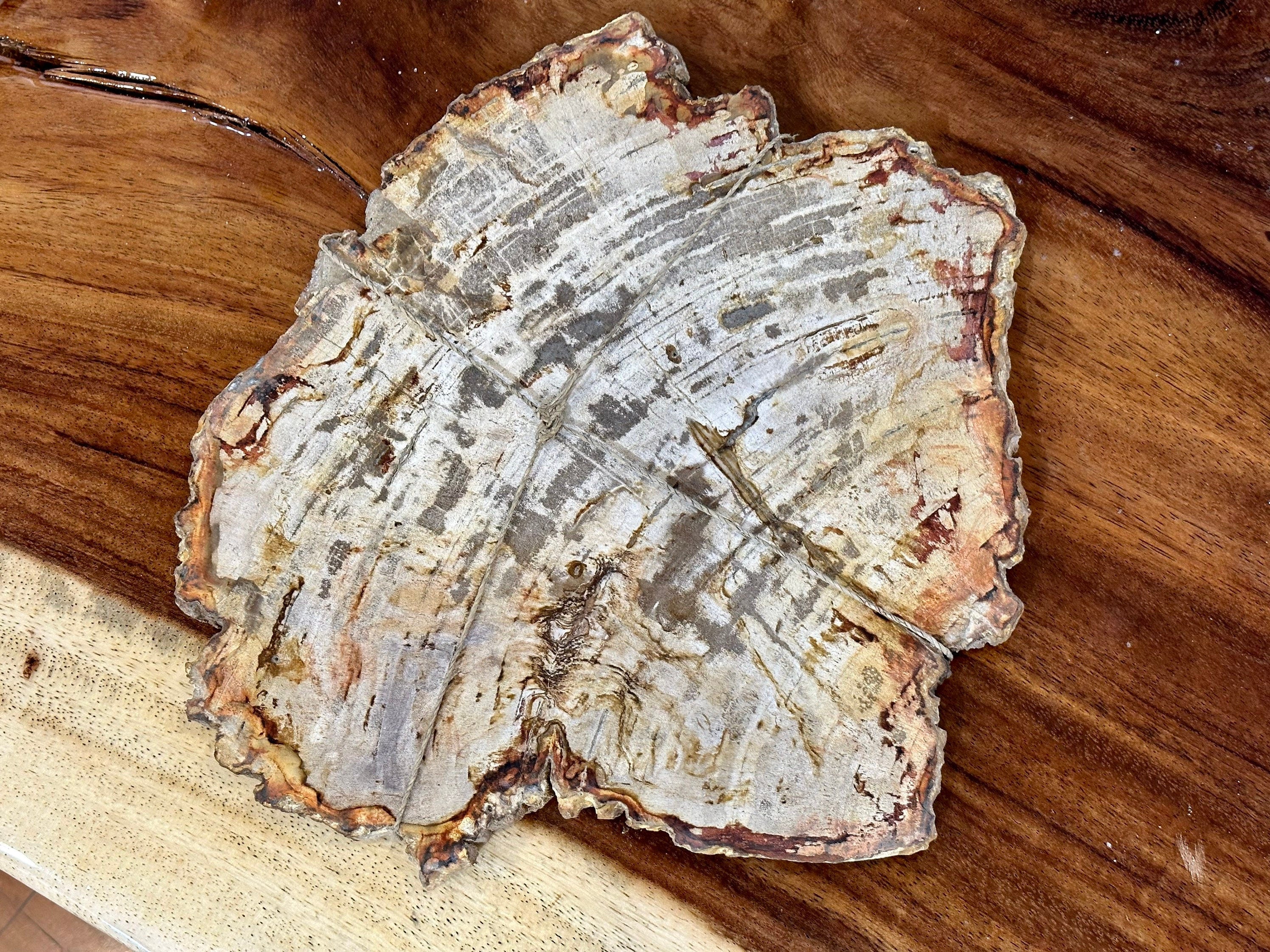 Petrified Wood Decorative Charcuterie Board- Handcrafted One of a Kind - Home Decor