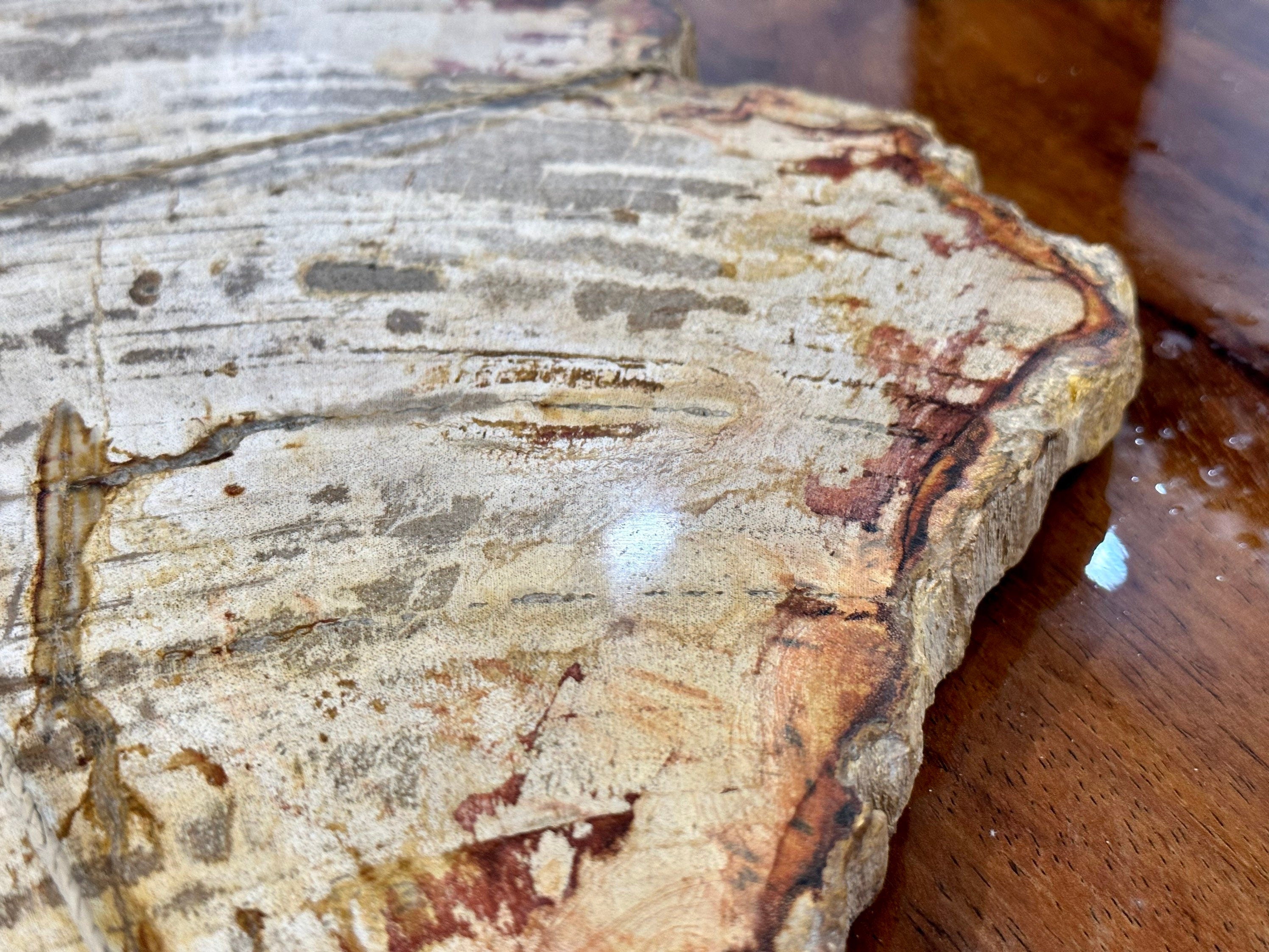 Petrified Wood Decorative Charcuterie Board- Handcrafted One of a Kind - Home Decor